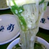 出石名物皿そば♪④の画像