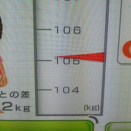 画像 今日からダイエット♪ の記事より 2つ目