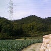 墓参りｉｎ岡山☆⑤の画像