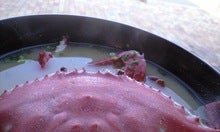 ザ★カフェジラフ【cafe giraffe】・・・きりん印の大分にある小さなカフェからほぼ３６５日発信中！-CA390020.JPG