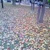 切ない季節の画像
