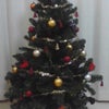 クリスマスツリー☆の画像