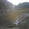 こないだの記録～実家～の画像