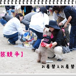 画像 【わんわん運動会ｉｎ２００８！！】Part3♪ の記事より 1つ目