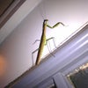 ケータイの中身 4の画像