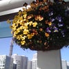 パシフィコ横浜の画像