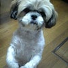 はじめまして！の画像