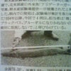 ミシシッピーの画像