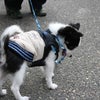 リード　嫌い！の画像
