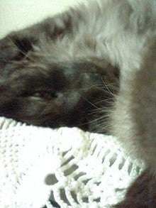 080521_1900~0001.jpg