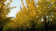 200711241603000.jpg