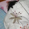 月曜日の朝なのにの画像