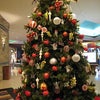クリスマスディナーの後はカジノへ♪の画像