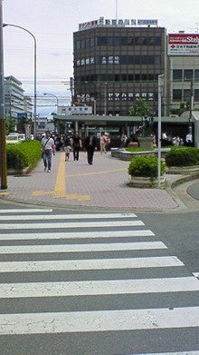 image.jpg