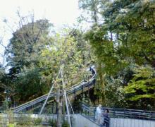 200604081150000.jpg