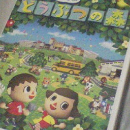 雷♪のまとまりない日記♪-090302_1942~01.jpg