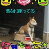 (´ﾟ∀ﾟ)休憩оの画像