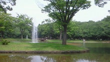 NEC_0039.jpg