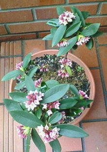 200803141212001.jpg