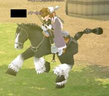 ウマ～
