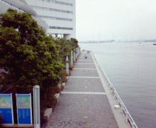 200606101248000.jpg