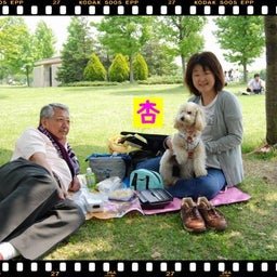 画像 ２００８年　遠足♪木曽三川公園！！ の記事より 19つ目