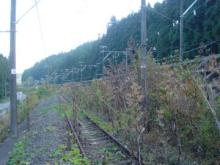 171104_kirizumi.jpg