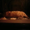 梅じそチキンカツの画像