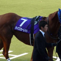 ダイワスカーレット１