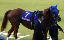ダイワスカーレット１