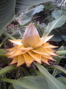 2008082713430000.jpg