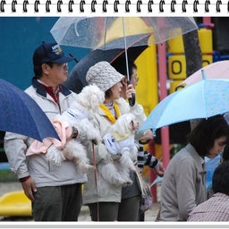 画像 【わんわん運動会！！ｉｎ２００８】Part２♪ の記事より 13つ目