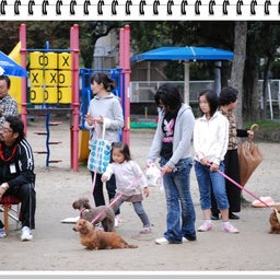 画像 【わんわん運動会ｉｎ２００８！！】Part４ の記事より 4つ目