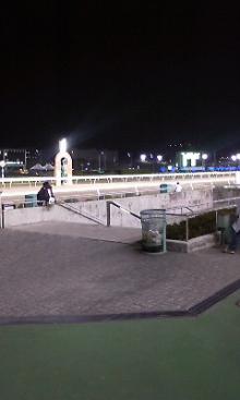 大井競馬