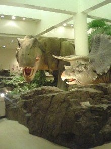 070509_1149~01.jpg