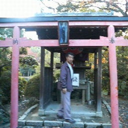 ハチの日記-200811281544000.jpg