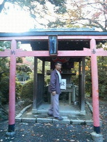 ハチの日記-200811281544000.jpg
