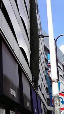 2008080712150000.jpg
