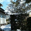 雪と青空の画像