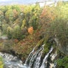 白金温泉白髭の滝の画像