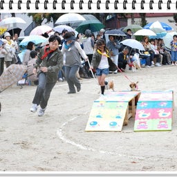 画像 【わんわん運動会！！ｉｎ２００８】Part２♪ の記事より 12つ目