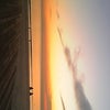 バ ラエティー番組のクイズ多様の画像