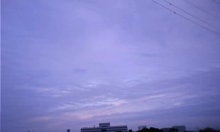 081007_1649~01.JPG