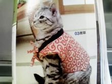 画像0255.jpg