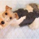 俺達、プサイΨ族♪　＜更新中＞の記事より