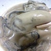 牡蠣の画像