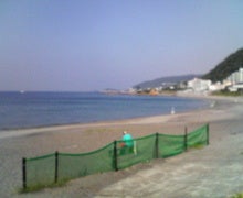 200810171016000.jpg
