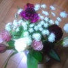 お花☆クリスマス☆の画像