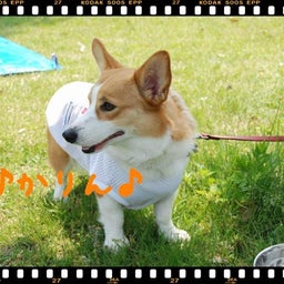 画像 ２００８年　遠足♪木曽三川公園！！ の記事より 4つ目