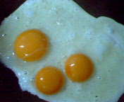 medama